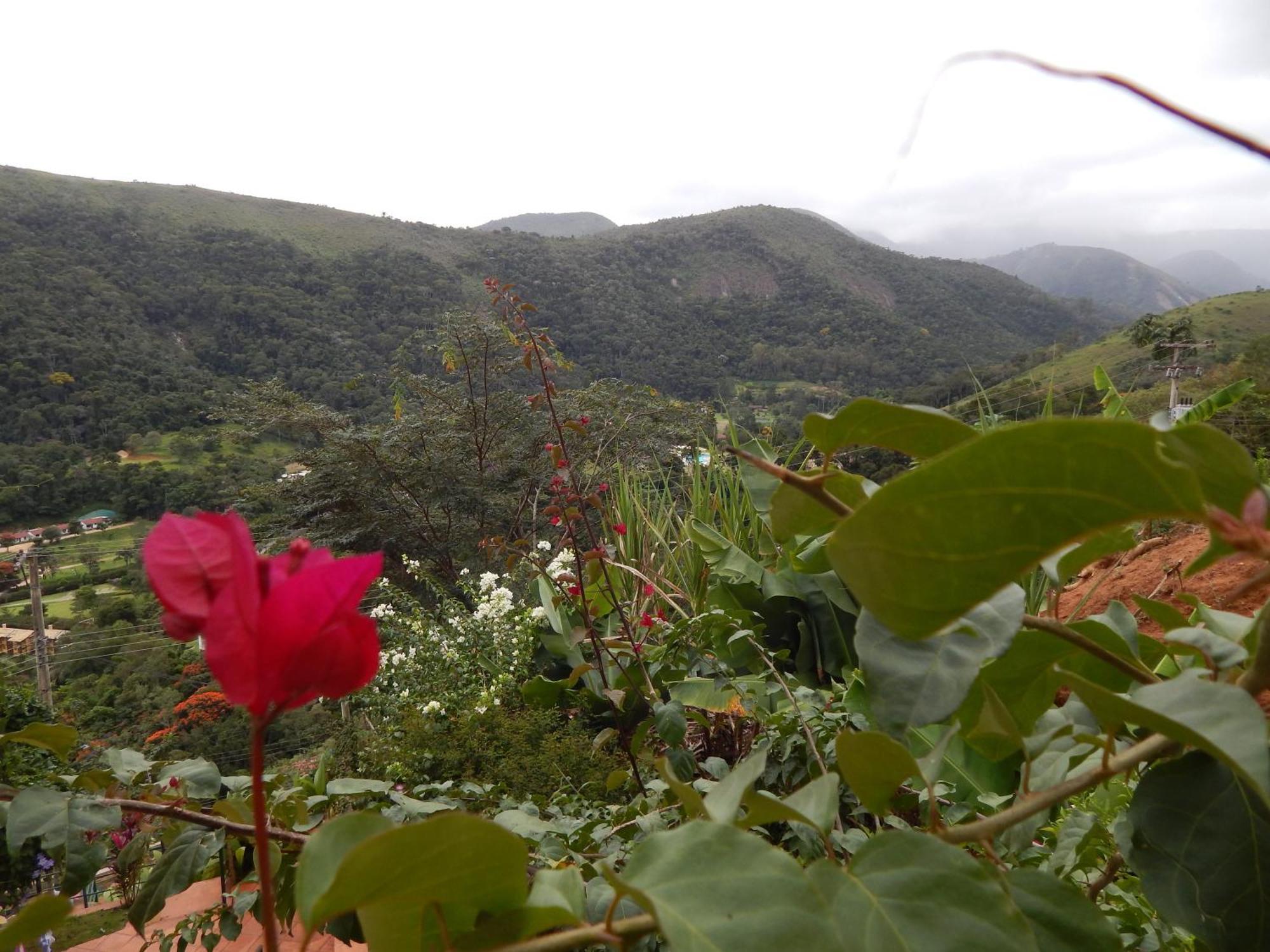 Pousada Quinta Do Alto Itaipava Rom bilde